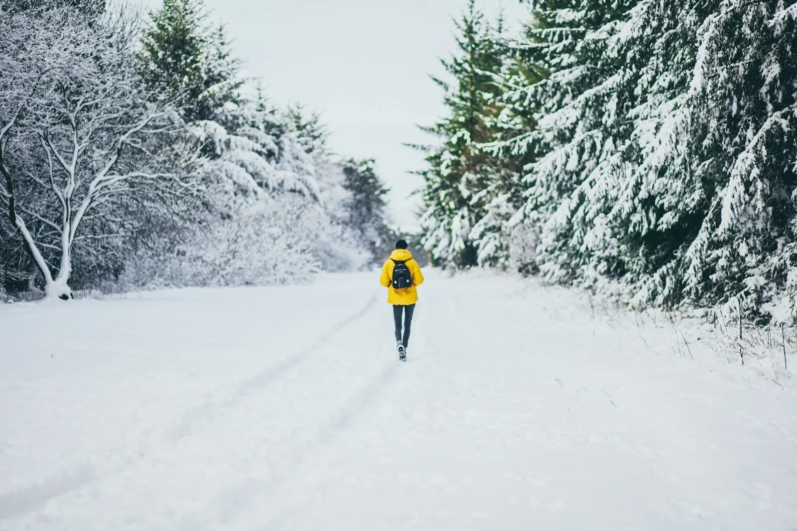 A person in a yellow jacket walking along a snowy forest road