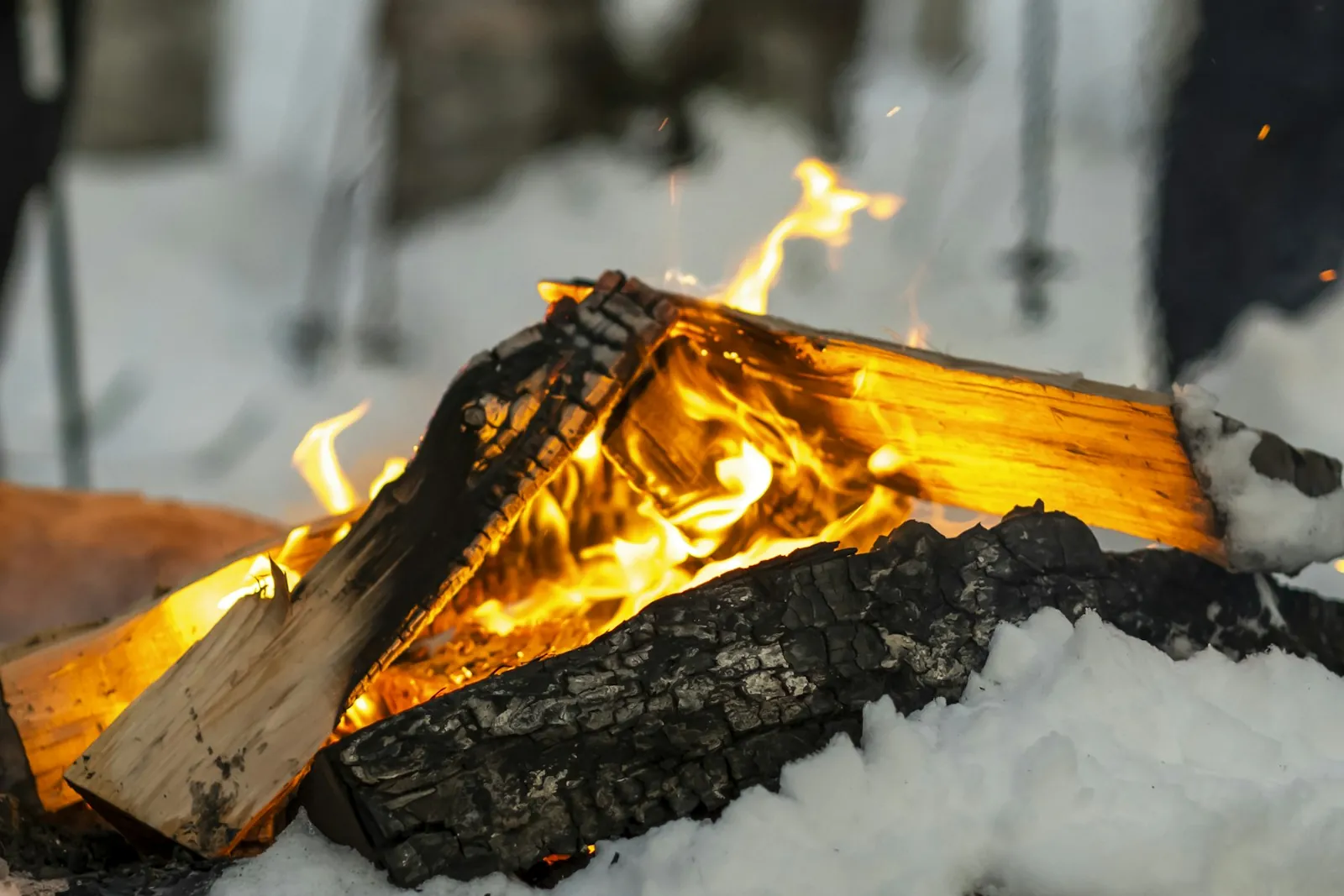 Logs burning in a campfire on snow